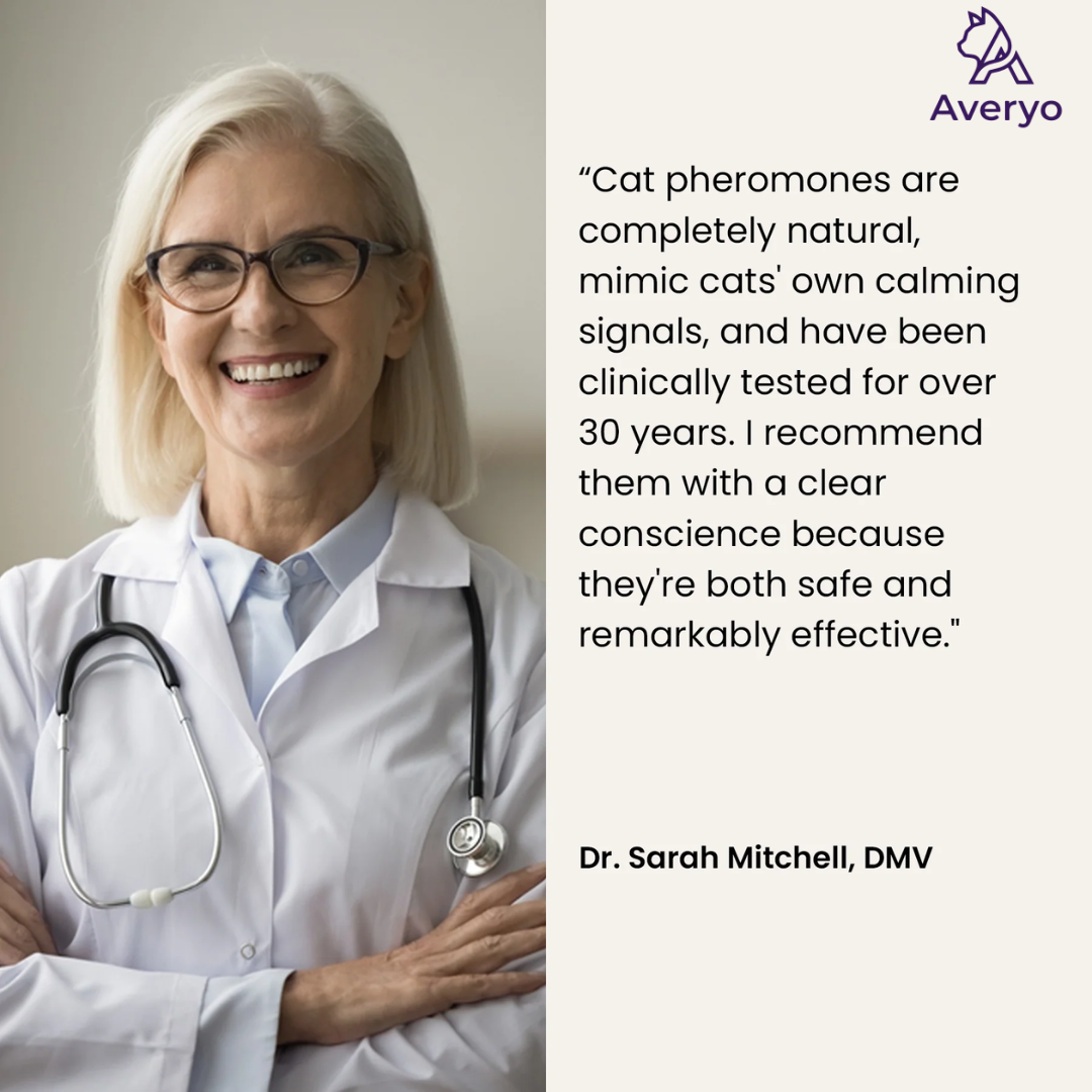 Give Your Cat a Calmer, Happier Life With Averyo® Optimum Diffuser