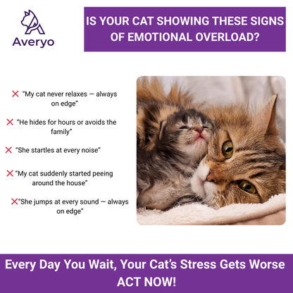 Give Your Cat a Calmer, Happier Life With Averyo® Optimum Diffuser
