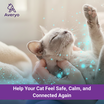 Give Your Cat a Calmer, Happier Life With Averyo® Optimum Diffuser