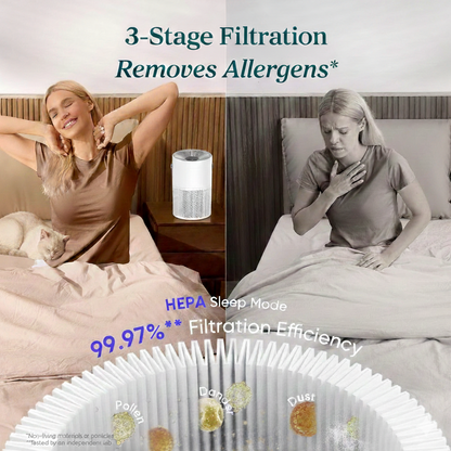 The Averyo Home Harmony Purifier